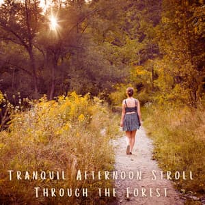 Tranquil Afternoon Stroll Through the Forest - Nature Recordings