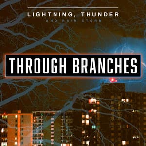 Through Branches - Lightning, Thunder and Rain Storm