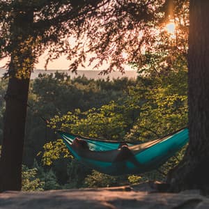 Meditation Sounds | Relaxing Music - Soothing Music Academy