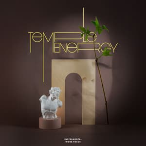 Temple Energy - Instrumental Work Focus
