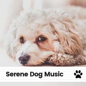 Serene Dog Music - Puppy Music