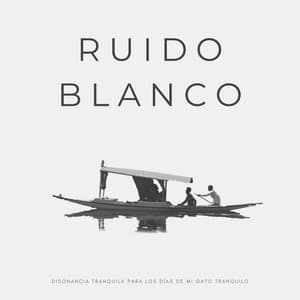 Ruido Blanco: Disonancia Tranquila Para Los Días De Mi Gato Tranquilo - El Ruido Blanco
