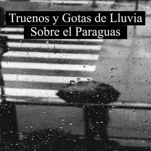 Truenos y Gotas de Lluvia sobre el Paraguas - Musica para Estudiar Specialistas