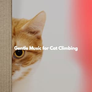 Gentle Music for Cat Climbing - No Words Jazz