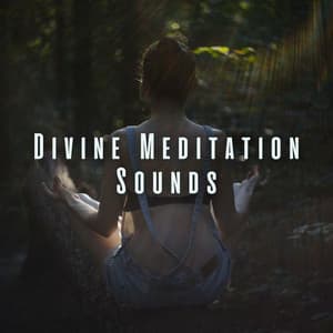 Divine Meditation Sounds - Bugghist Meditation Music Set