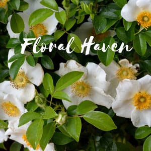 Floral Haven - Serenity of Sound