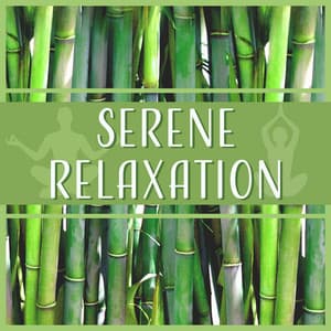 Serene Relaxation - Relaxing Distraction Therapy Zone