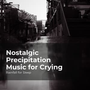 Nostalgic Precipitation Music for Crying - Rainfall For Sleep
