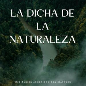 La Dicha De La Naturaleza: Meditación Armoniosa Con Diapasón - Rehabilitación de la naturaleza