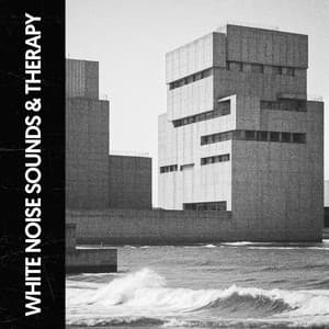 White Noise Sounds & Therapy: inMelodic Serenity - Ruido Blanco Hart