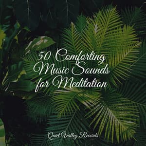 50 Comforting Music Sounds for Meditation - Sound Sleeping