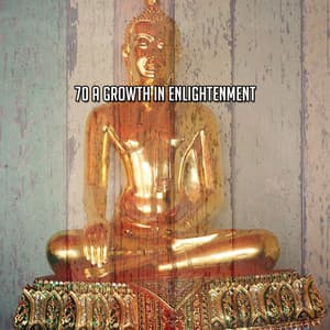 70 A Growth In Enlightenment - Meditation Masters