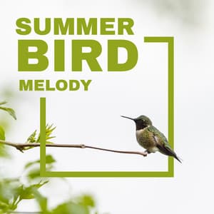 Summer Bird Melody - Healing Nature Full of Relaxation and Relief - Bird Song Group