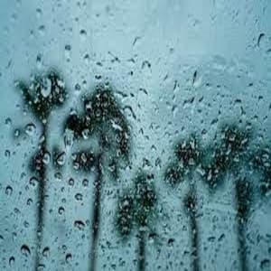 Gentle Rain and Angry Thunder Storms - Baby Nap Time
