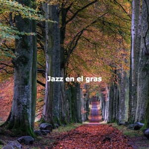 Jazz en el gras - Jazz Shades