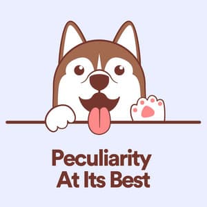 Peculiarity At Its Best - Calming for Dogs