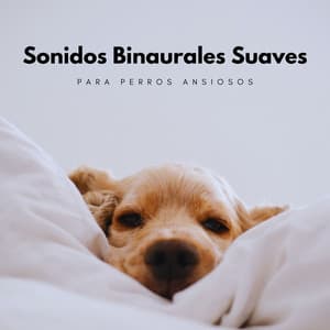 Sonidos Binaurales Suaves Para Perros Ansiosos - Bestia binaural