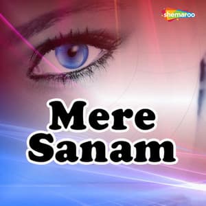 Mere Sanam - Om Jha