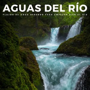 Aguas Del Río: Flujos De Agua Serenos Para Empezar Bien El Día - Sonidos De Agua