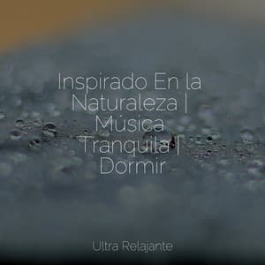 Inspirado En la Naturaleza | Música Tranquila | Dormir - Mantra para Dormir