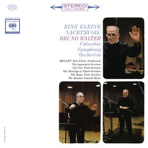 Walter Conducts Mozart - Wolfgang Amadeus Mozart