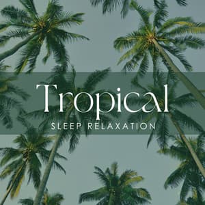 Tropical Night Drift Stillness - Erika Berg