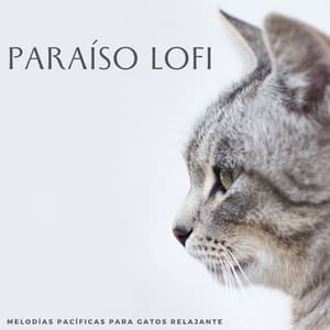 Paraíso Lofi: Melodías Pacíficas Para Gatos Relajantes - Latidos De Rap