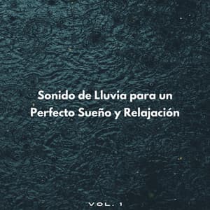 Sonido De Lluvia Para Un Perfecto Sueño Y Relajación Vol. 1 - Lluvia Para Dormir Mejor