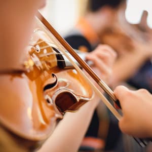 Serenity Orchestra: Calming Symphonic Sounds - Charles Anderson