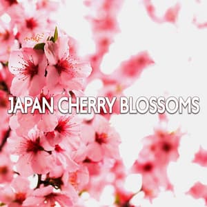 Japan Cherry Blossoms - Japanese Zen Shakuhachi