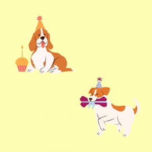 Cheerful Jazz Organ - Bgm for Good Times with Dog - Dog Anxiety Music