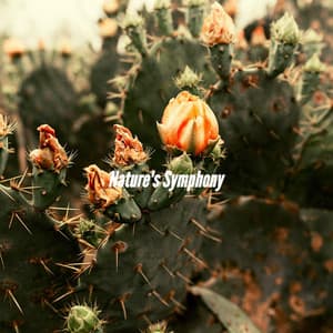 Nature's Symphony - Lounge Smooth Jazz Deluxe