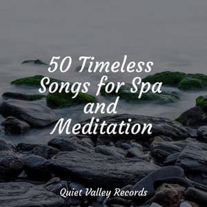50 Timeless Songs for Spa and Meditation - Rain Drops for Sleep