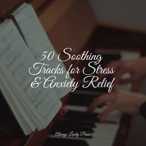 50 Songs to Calm Your Spirit - Piano Dreams