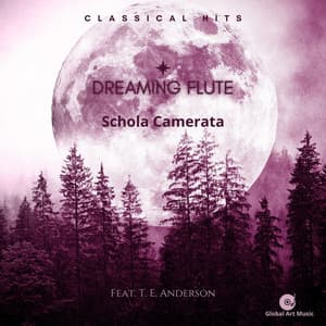 Dreaming Flute - Classical Hits