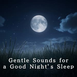 Gentle Sounds for a Good Night’s Sleep - Relaxing BGM Project