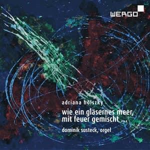 Adriana Hölszky: Wie ein gläsernes Meer, mit Feuer gemischt - Adriana Hölszky