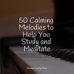 Healing Sounds | Sleep and Chillout - Chillout Piano Session