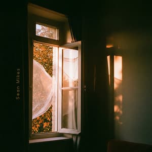 Autumn Enters Through an Open Window - Sean Mikes