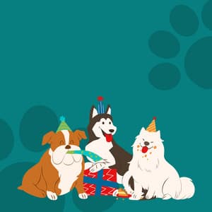 Paws and Melodies: The Healing Power of Music for Pets - Dips And Daps