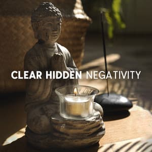 Clear Hidden Negativity: Remove Negative Blockages, Stop Thinking Negatively, Look Optimistically To The Future - Hz Frequency Zone
