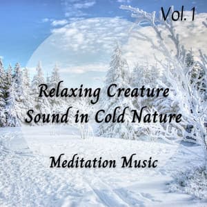 Nature Sound: Relaxing Creature Sound in Cold Nature Vol. 1 - Rain Sounds & Nature Sounds