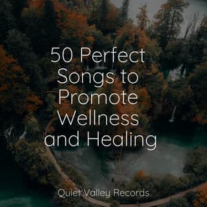 50 Perfect Songs to Promote Wellness and Healing - Baby Sleep Music