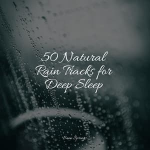 50 Natural Rain Tracks for Deep Sleep - Ambient Arena