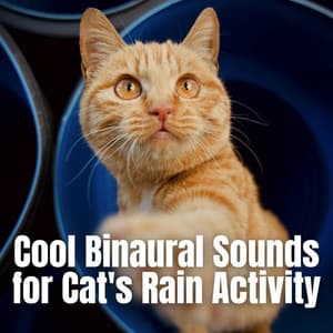 Cool Binaural Sounds for Cat's Rain Activity - Soft Music