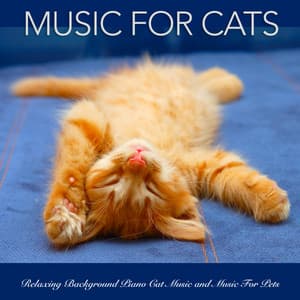 Music For Cats: Relaxing Background Piano Cat Music and Music For Pets - Music For Cats