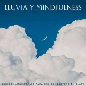 Lluvia Y Mindfulness: Sonidos Ambientales Para Una Concentración Clara - Acústicamente