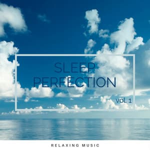 Sleep Perfection vol. 1 - orbital voices