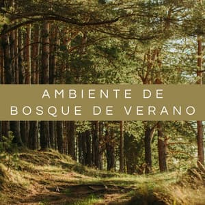 Ambiente De Bosque De Verano - Masaje Relajante Masters