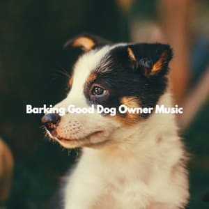 Barking Good Dog Owner Music - Home Alone Dog Music